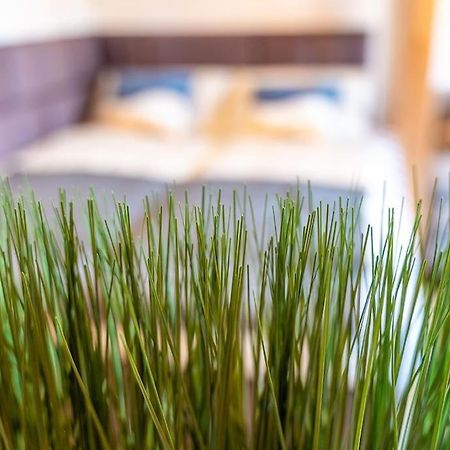 Golden Nugget Inkl Wlan, Parkplatz Leilighet Detmold Eksteriør bilde